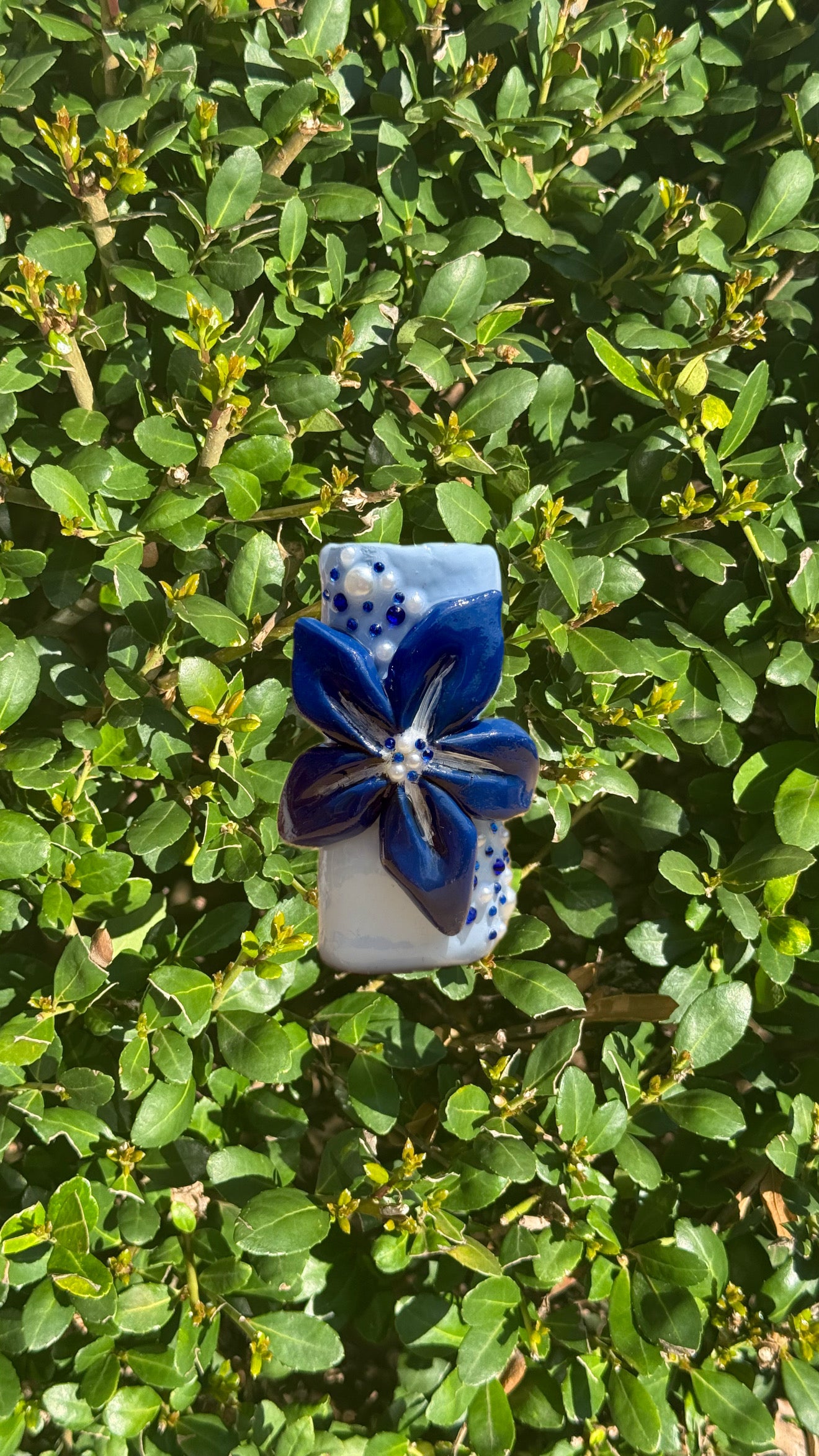 Blue Crush Lighter Case
